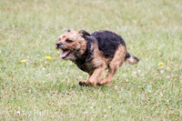 IMG_0766