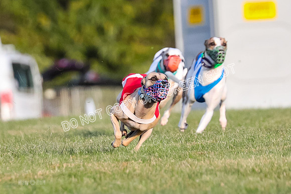 Prg 1, race 2, Spud Gnocchi Rigby-0583