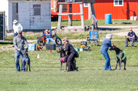 Prelim-2351