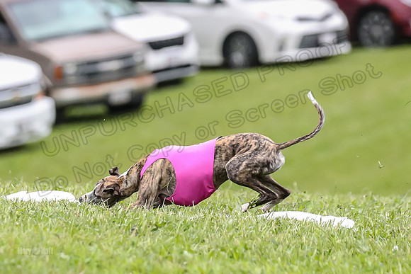 Prelim Fch 1,  Prim Shelby Ember-5201