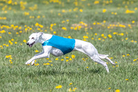 1Prelims Veterans 1 Rosa Marley Luna-1618