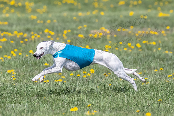 1Prelims Veterans 1 Rosa Marley Luna-1618