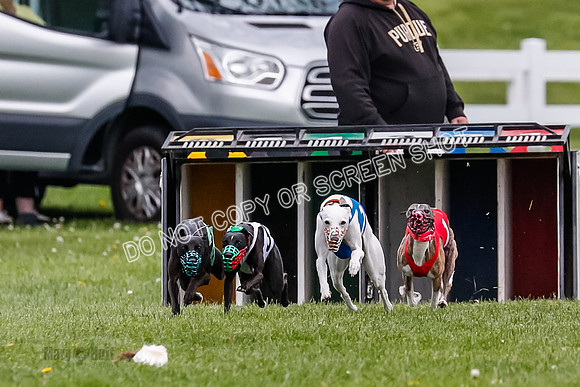 NOTRA Program 4, Race 1, Warrior Barley Flair Victor-2-9