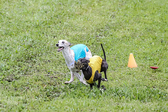 Prelim Open E1, Sid Emoji Bumble-4752