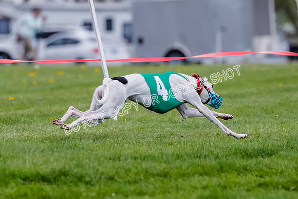 NOTRA Program 2, Race 7, Ragnar Power Sandy Elvis-2-17