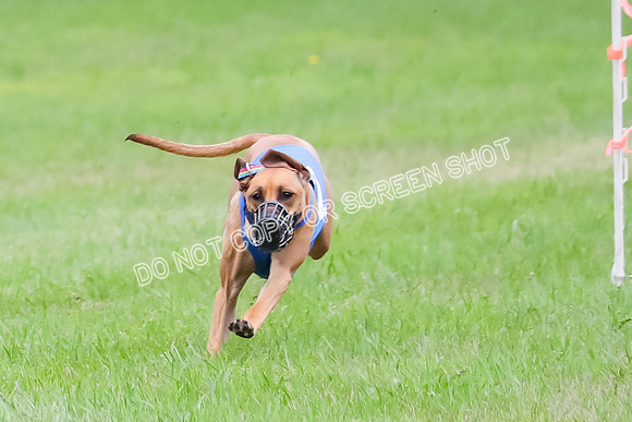 AE4I2611