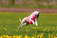 _E4I5123