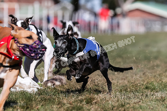Prg 4, Race 2, Red Tipa Watson Sprig Carney-0097