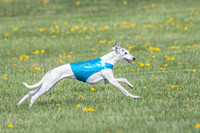 1Prelims Veterans 1 Rosa Marley Luna-1631