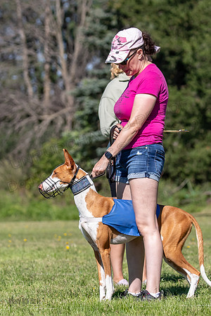 Prelims Fch 1 Ginny Willow Madyson-5394