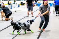 AE4I3822