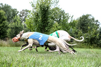 prg 1 race 1 angel nathalia seeker sid zen-3501