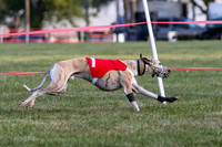 Prg 1, race 1, Arrow Blitz Rosie Floyd-0573