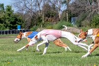 Prelims Fch 1 Ginny Willow Madyson-5442