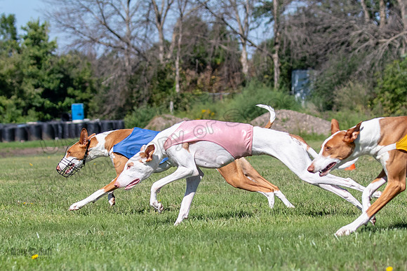 Prelims Fch 1 Ginny Willow Madyson-5442