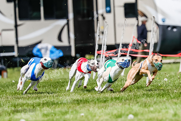 NOTRA Program 3, Race 3, Eddie Elvis Picanha Coyote-2-9