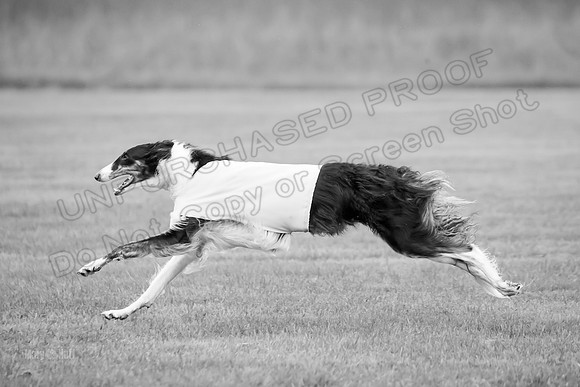 Open Prelim 2, Masquerade Freebie-0547-2