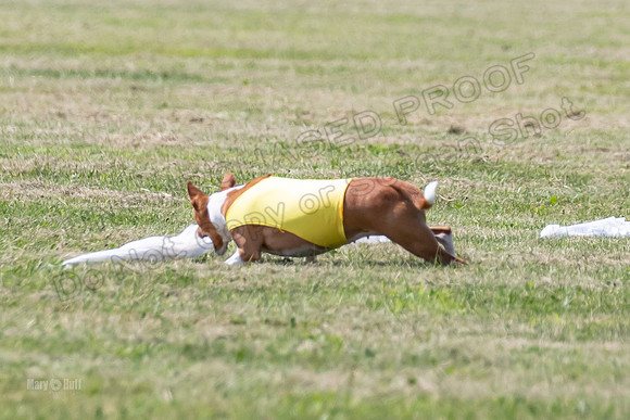 Finals-0141
