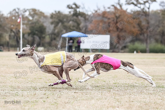 Finals Open 4 Rigel Trixie-4097