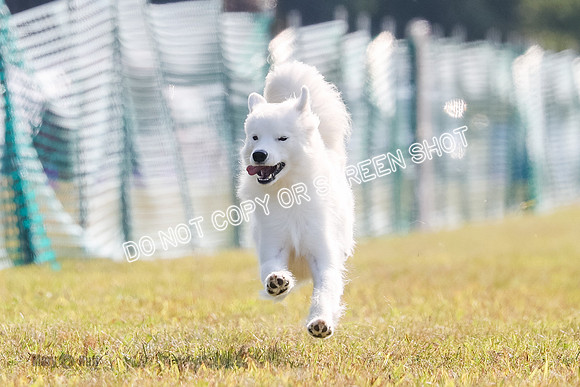 AE4I0241