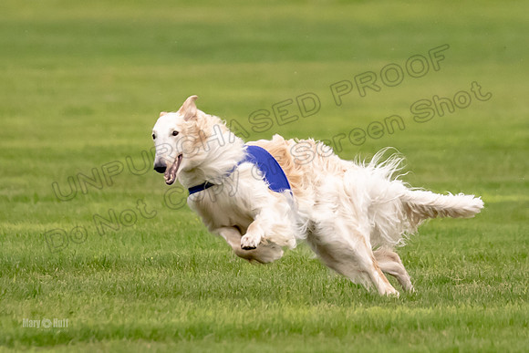 Open Prelim Bluegene Rhett Zen-0496