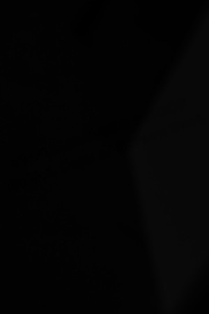 AE4I2369
