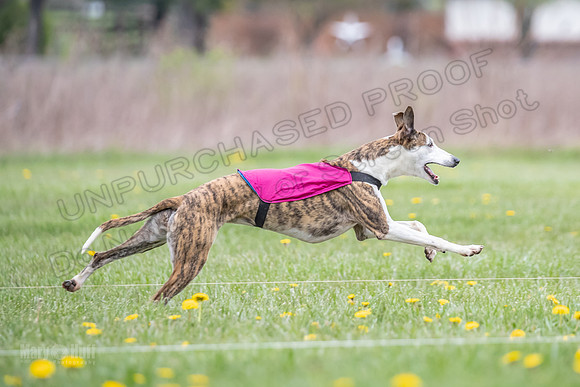 Finals Fch A4 Finely Carrie-9338