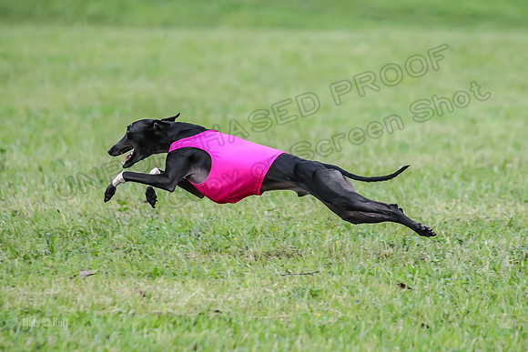 Prelim Open F2, Trippit Sid Fva-9272