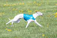 1Prelims Veterans 1 Rosa Marley Luna-1632