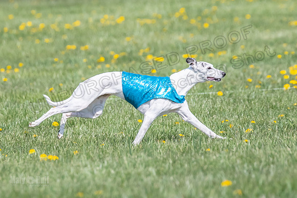 1Prelims Veterans 1 Rosa Marley Luna-1632