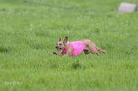 AE4I9400