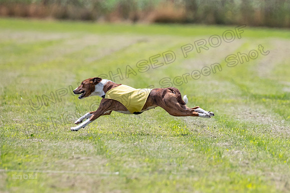Finals-0190