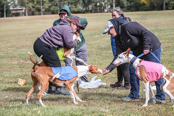 Finals Fch 1 Beastie Jadis Ginny-7941