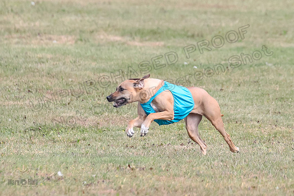 1 prelims Fch 2 Remmy Opal Oslay-6273