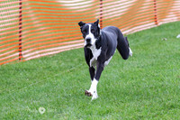 MCH79871