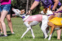 Prelims Fch 1 Ginny Willow Madyson-5419