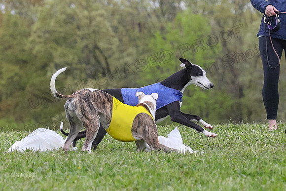 Finals Open G4, Lzzy Bumble Mystic-1649