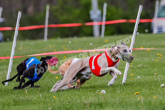 NOTRA Program 2, Race 7, Ragnar Power Sandy Elvis-2-6