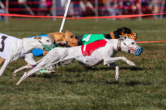 Prg 4, Race 13, oats Bookie Reas Rizzo-2771