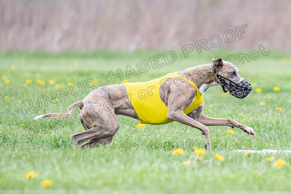 Finals Fch A4 Finely Carrie-9327