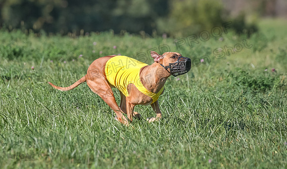 1 Prelims Open 1 Kinky Ash Zanna-4429