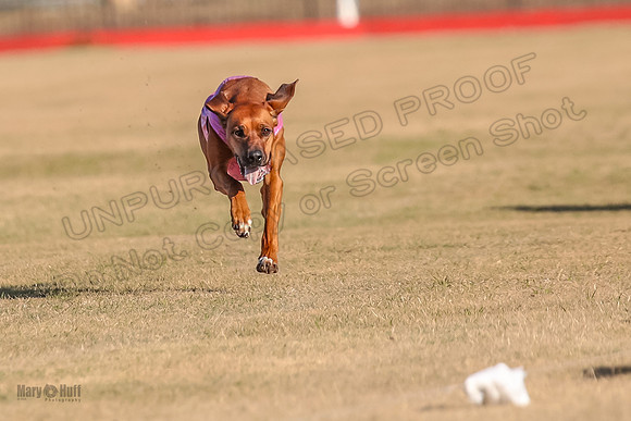 1Prelims Spec 4 Remi Zhrya Sonora-9856