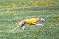 1Prelims Veterans 1 Rosa Marley Luna-1630
