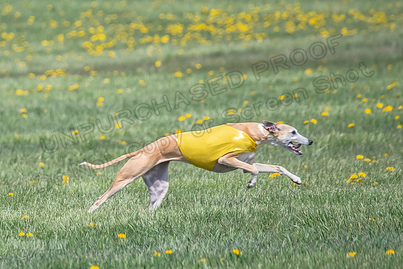 1Prelims Veterans 1 Rosa Marley Luna-1630