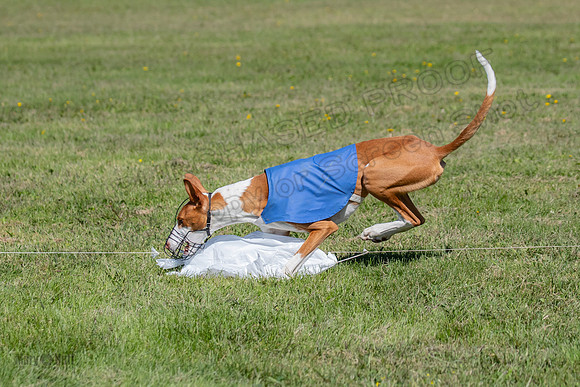Prelims Fch 1 Ginny Willow Madyson-5496