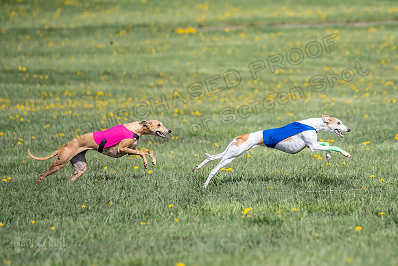 1Prelims Specials A4 Whisper Indy Crescent-1294