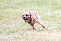IMG_0941