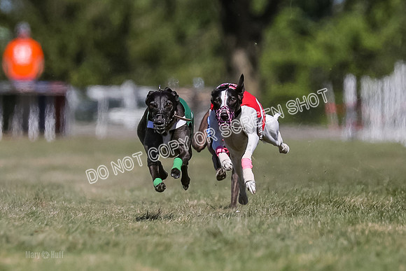 Prg 4, Race 3, Dazzle Margot Cherry Pie Clyps Tahoe-0126