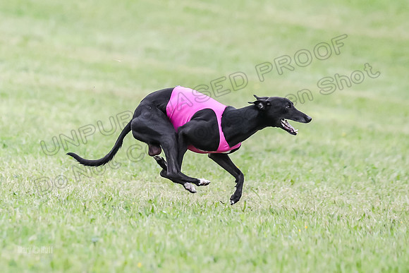 Prelim Open E2, Devo Wyatt Shadow-9074