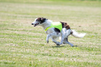 Finals Finnegan-0114